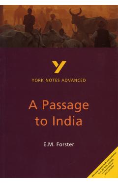 Passage to India: York Notes Advanced