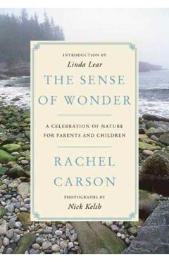 Sense of Wonder