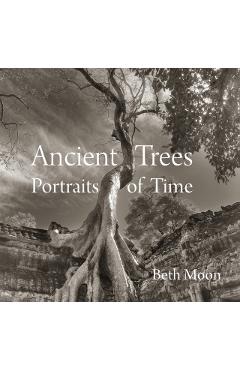 Ancient Trees
