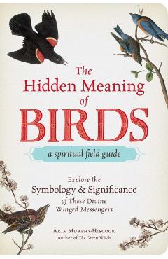 Hidden Meaning of Birds--A Spiritual Field Guide