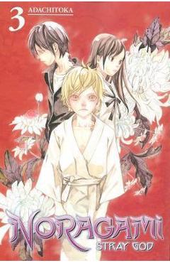 Noragami Stray God, Vol. 3