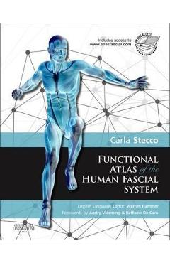 Functional Atlas of the Human Fascial System