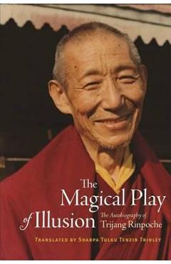 Magical Play of Illusion