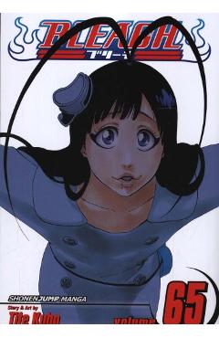 Bleach, Vol. 65