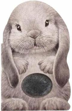 Furry Bunny