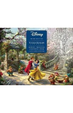 Disney Dreams Collection Thomas Kinkade Studios Disney Princ