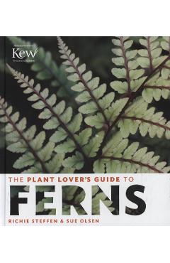 The plant lover's guide to ferns