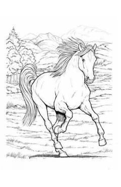 Wonderful World of Horses Coloring Book