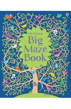 Big Maze Book