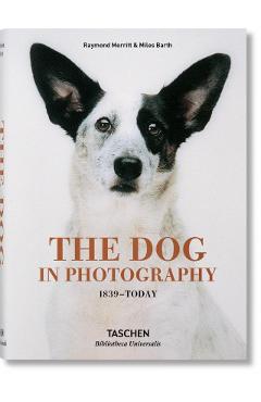 Dog in Photography 1839-Today