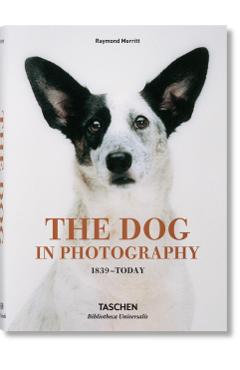 Dog in Photography 1839-Today