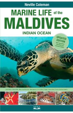Marine Life of the Maldives - Indian Ocean