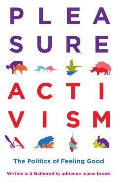 Pleasure Activism
