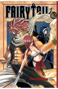 Fairy Tail 12