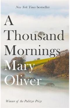 Thousand Mornings
