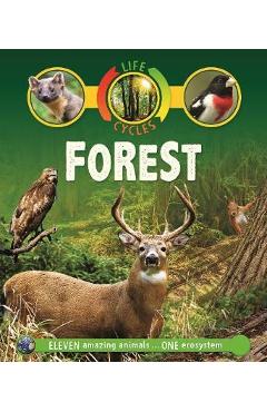Life Cycles: Forest