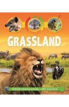 Life Cycles: Grassland