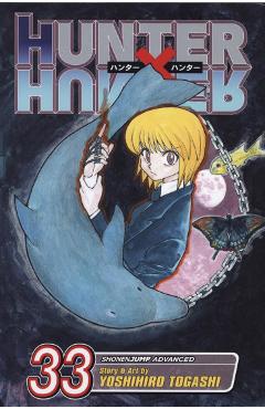 Hunter x Hunter, Vol. 33