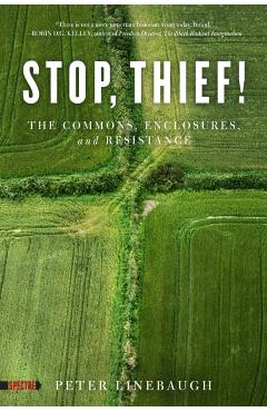 Stop, Thief!