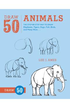 Draw 50 Animals