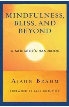 Mindfulness Bliss and Beyond - Ajahn Brahm