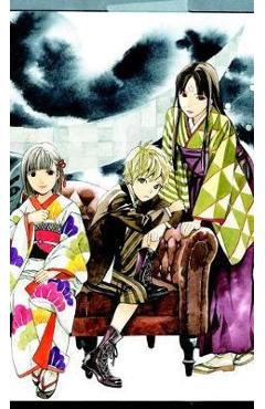 Noragami: Stray God 20 - Akiko Adachitoka