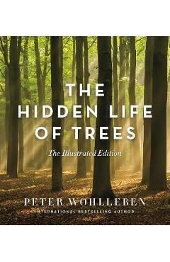 Hidden Life of Trees - Peter Wohlleben