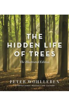 Hidden Life of Trees - Peter Wohlleben