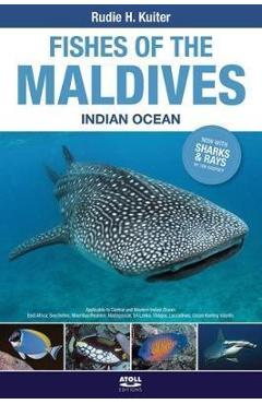 Fishes of the maldives - rudie kuiter