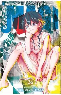 Magi: the labyrinth of magic, vol. 36 - shinobu ohtaka