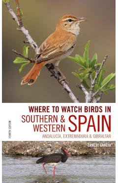 Where to Watch Birds in Southern and Western Spain - Ernest Garcia