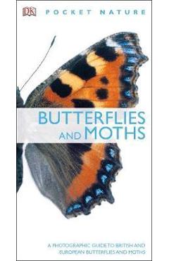 Butterflies and Moths -
