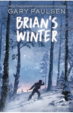 Brian's Winter