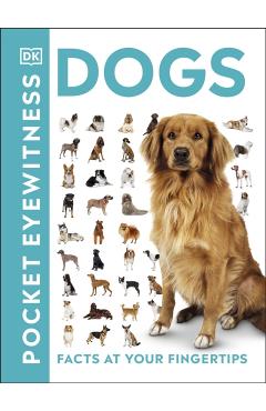 Pocket Eyewitness Dogs -