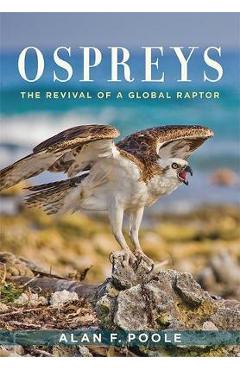 Ospreys - Alan Poole - Imagine 1