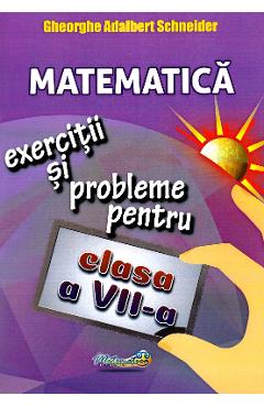 Matematica - Clasa 7 - Exercitii si probleme - Gheorghe Adalbert Schneider