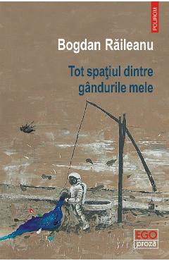 eBook Tot spatiul dintre gandurile mele - Bogdan Raileanu