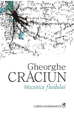 eBook Mecanica fluidului - Gheorghe Craciun