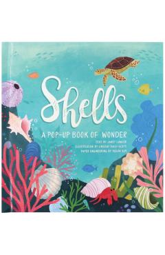 Shells - Janet Lawler