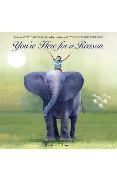 You\'re Here for a Reason - Nancy Tillman
