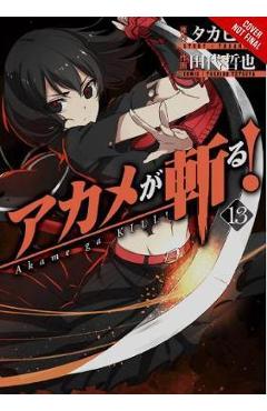 Akame ga Kill!, Vol. 13 - Takahiro