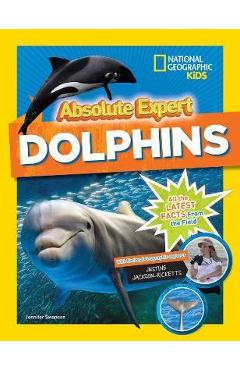 Absolute Expert: Dolphins - - Imagine 1