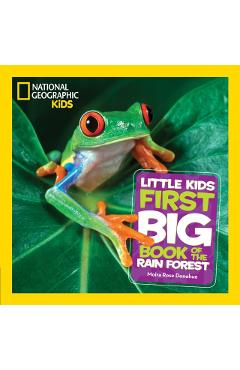 Little Kids First Big Book of the Rain Forest -