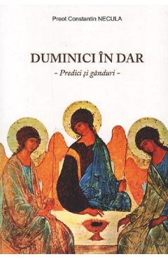 Duminici in dar - Constantin Necula - AGNOS