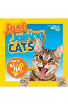 Just Joking Cats -