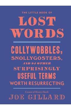 Little Book of Lost Words - Joe Gillard