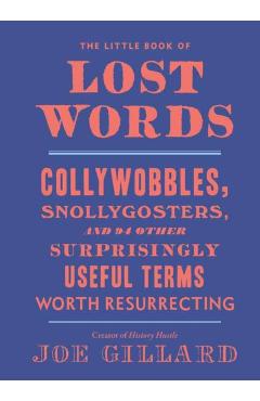 Little Book of Lost Words - Joe Gillard