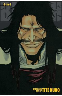 Bleach (3-in-1 Edition), Vol. 19 - Tite Kubo