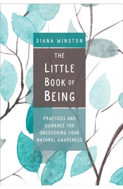 Little Book of Being - Diana Winston