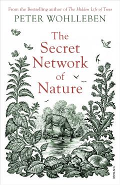 Secret Network of Nature - Peter Wohlleben